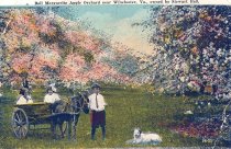 3 kids & apple blossoms